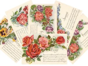 vintage flower postcards