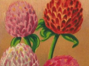 French flower seed packets postcard set (10 cards), French vintage