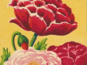 French flower seed packets postcard set (10 cards), French vintage