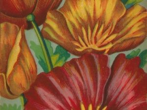 French flower seed packets postcard set (10 cards), French vintage