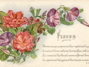 french vintage flower postcards