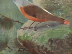 Bird illustrations, postcard set (12 cards), Perrier and Salmon, French vintage