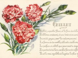 french vintage flower postcards