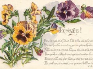 french vintage flower postcards