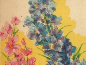 French flower seed packets postcard set (10 cards), French vintage