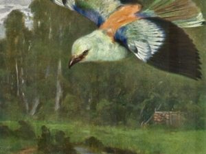 Bird illustrations, postcard set (12 cards), Perrier and Salmon, French vintage