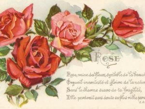 french vintage flower postcards