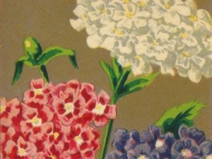 French flower seed packets postcard set (10 cards), French vintage