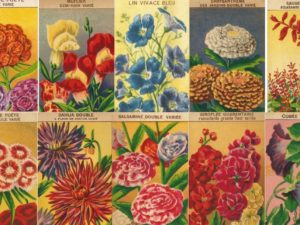 french flower seed packets postcards vintage