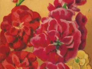 french flower seed packets postcards vintage