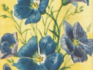 french flower seed packets postcards vintage