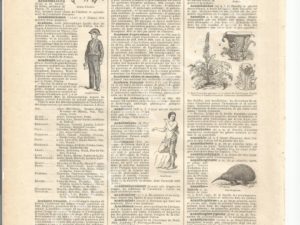 French dictionary pages, Letter A, Larousse, alphabet, printable, digital vintage ephemera
