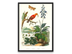 Bird Flower print, H, 1830, Guerin, French wall art