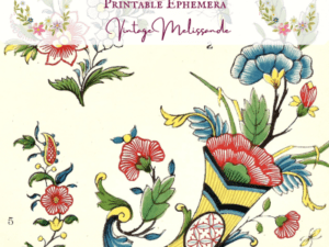 journal illustrations